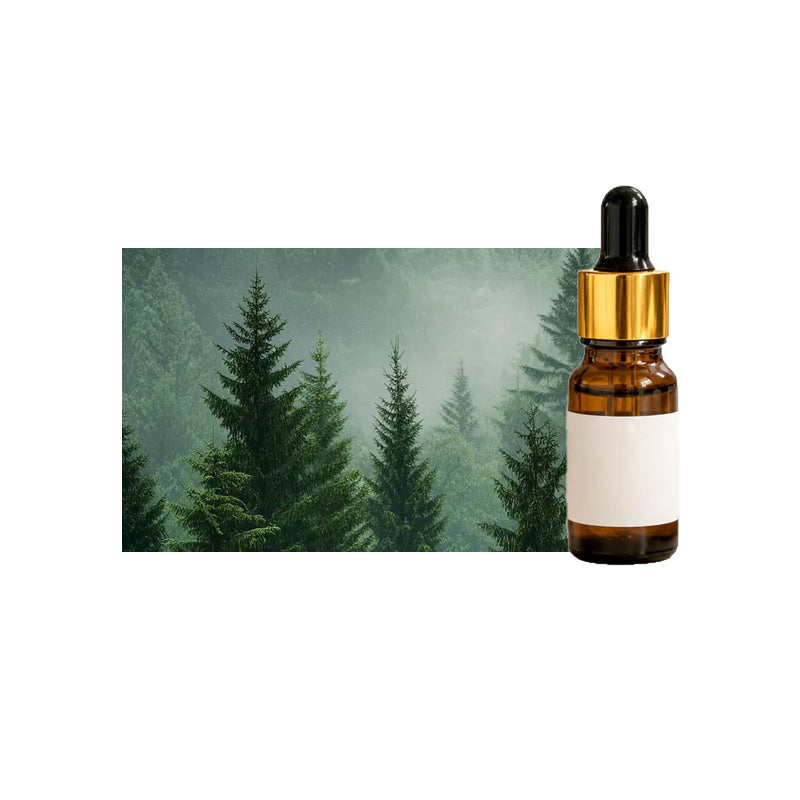 10 ml essential oil for aromatherapy ¨C essential oil for oil-based humidifiers