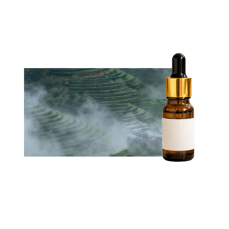 10 ml essential oil for aromatherapy ¨C essential oil for oil-based humidifiers