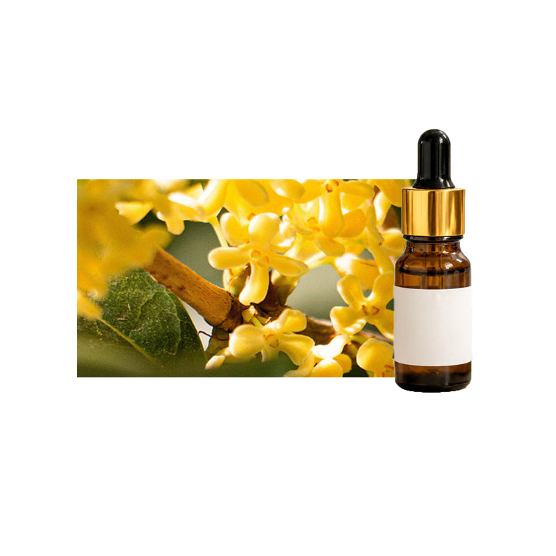 10 ml essential oil for aromatherapy ¨C essential oil for oil-based humidifiers