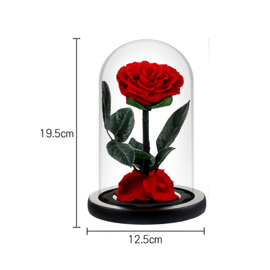 Glass-encased eternal flower arrangement featuring red roses
