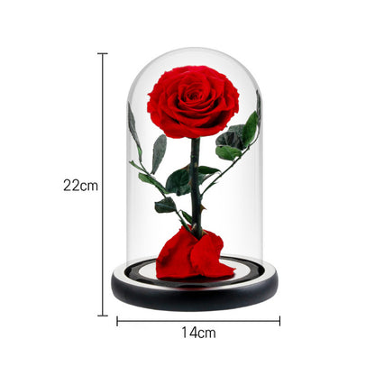 Glass-encased eternal flower arrangement featuring red roses