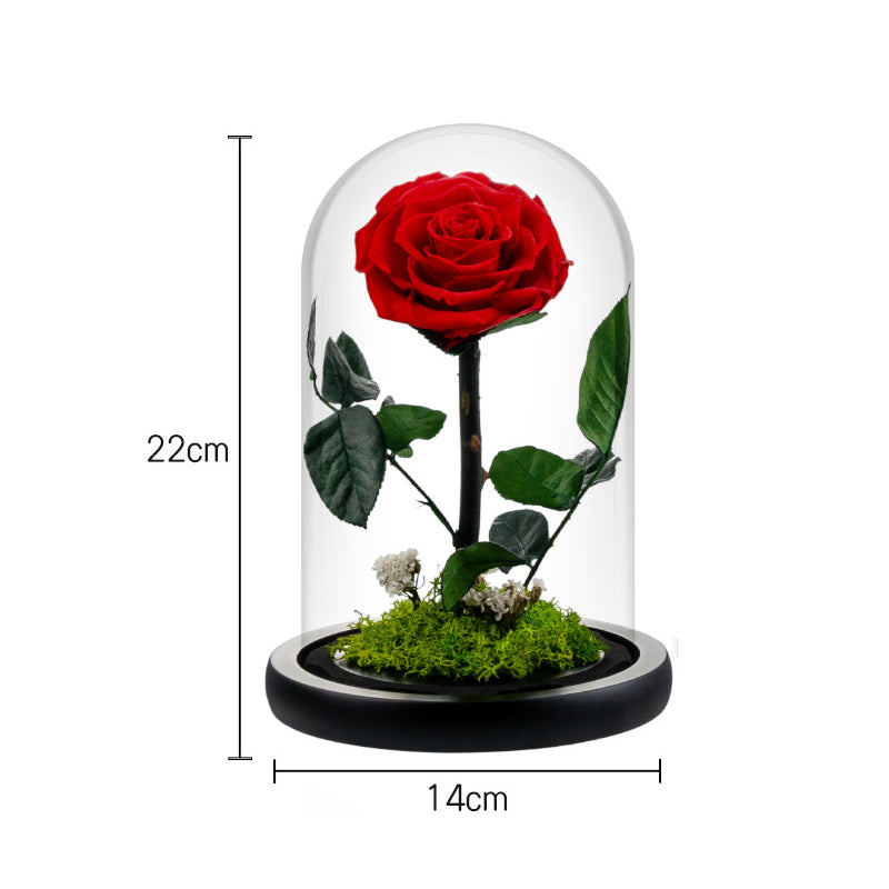 Glass-encased eternal flower arrangement featuring red roses