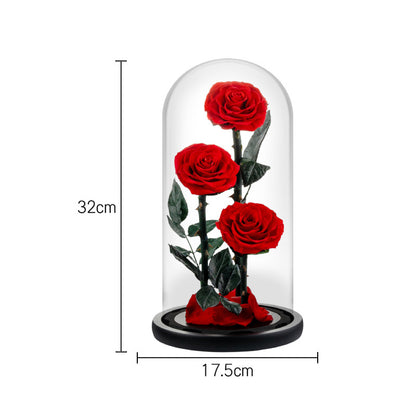 Glass-encased eternal flower arrangement featuring red roses