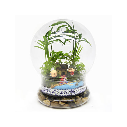 Lichen micro-landscape ecological bottle