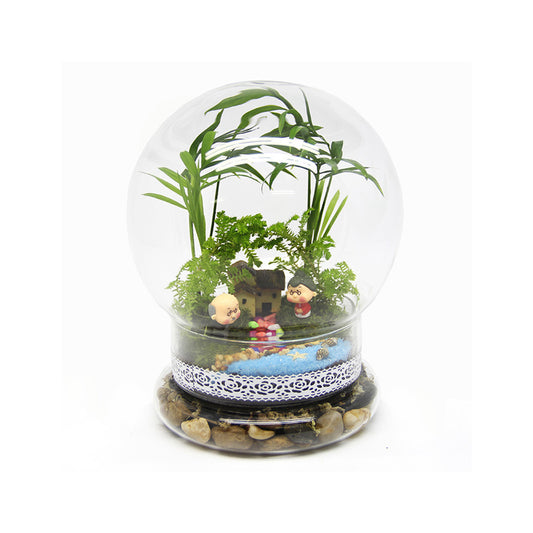 Lichen micro-landscape ecological bottle