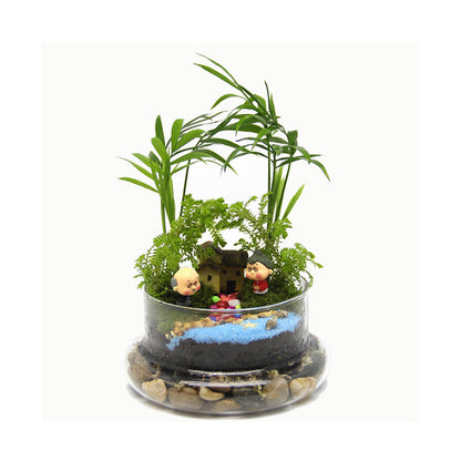 Lichen micro-landscape ecological bottle