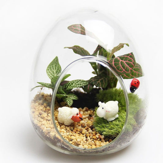 Micro-scale Lichen and Green Plant Glass Micro-Landscape Combination Potted Ecological Vase