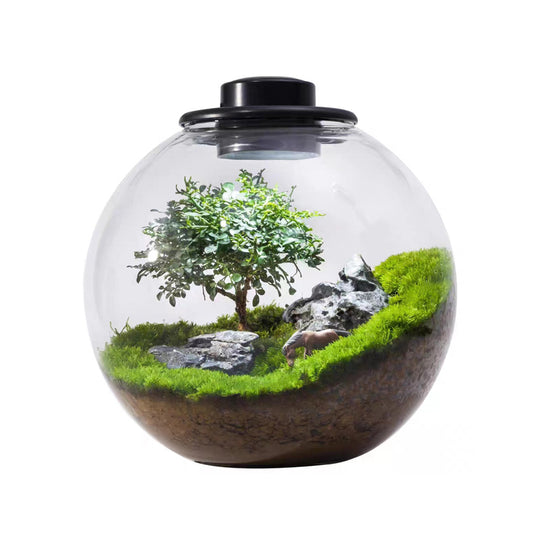 Micro-landscape design: creative rockery landscaping with plants for home and office living rooms