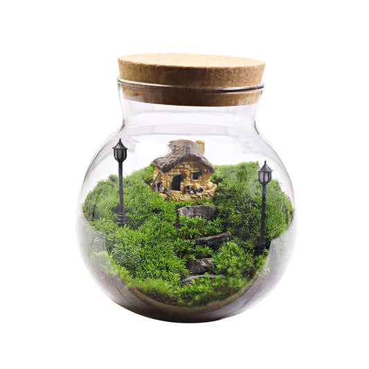 Lichen micro-landscape eco-bottle: indoor tabletop mini potted plant