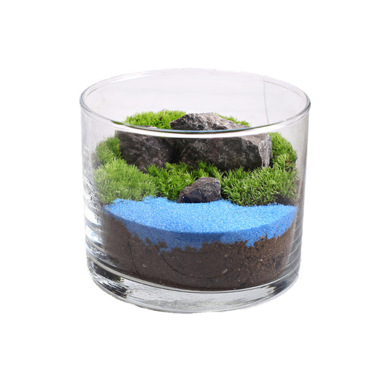Straight-lined moss micro-landscape eco-bottle with decorative plants