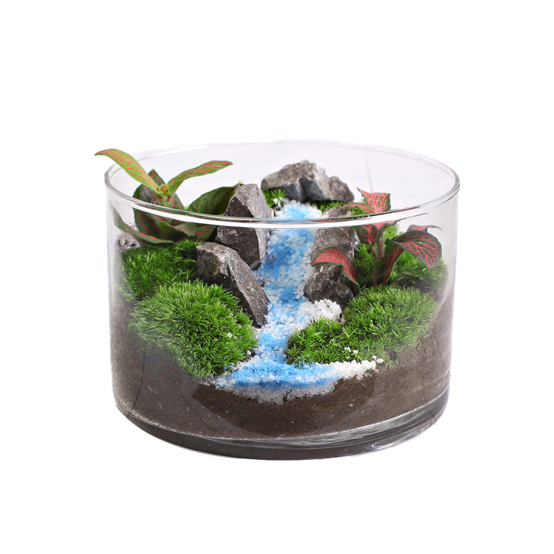 Moss Straight-Flask Micro-Landscape Eco-Pot ¨C Moss Plant for Office Desk Stress Relief Small Potted Plant