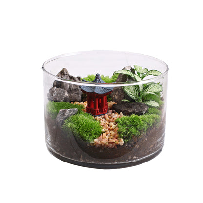 Moss Straight-Flask Micro-Landscape Eco-Pot ¨C Moss Plant for Office Desk Stress Relief Small Potted Plant