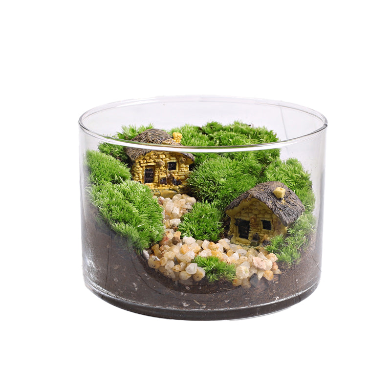 Moss Straight-Flask Micro-Landscape Eco-Pot ¨C Moss Plant for Office Desk Stress Relief Small Potted Plant