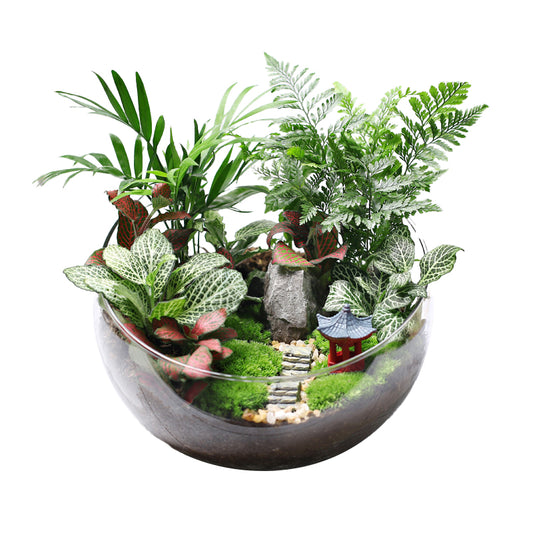 Green Plant Cultivation in Moss Micro-Landscape Ecological Vesselsֲ