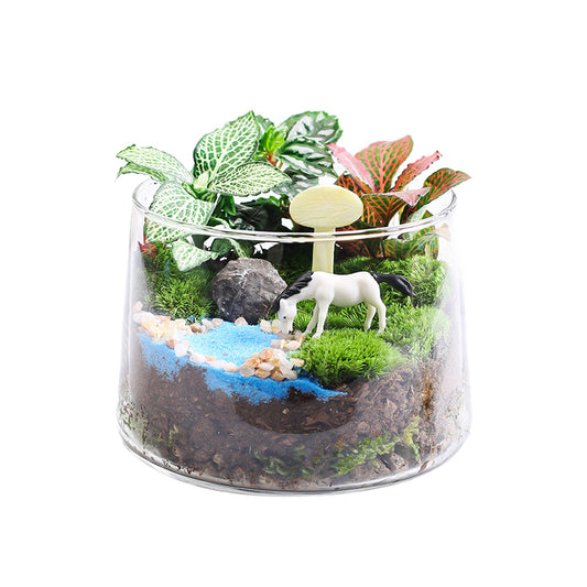 Creative Micro-Landscape of Lush Moss in a Conical Flask: Desktop Eco-Green Plant Ornament & Bonsai