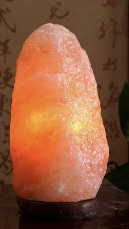 Himalayan Salt Lamp Mineral Pink Rock Lamp